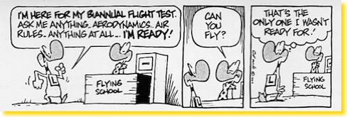DuckCartoon